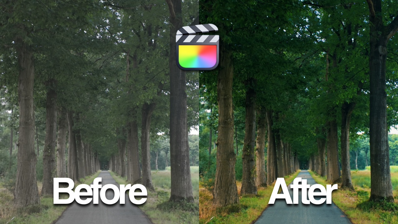 Load video: Video tutorial on how to use LUTs in Adobe Premiere Pro