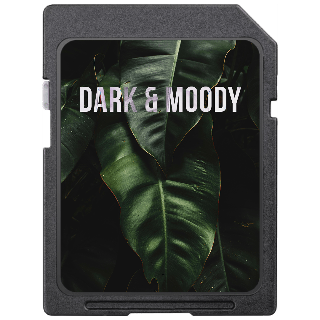 The Dark & Moody Look - The Looks Lab